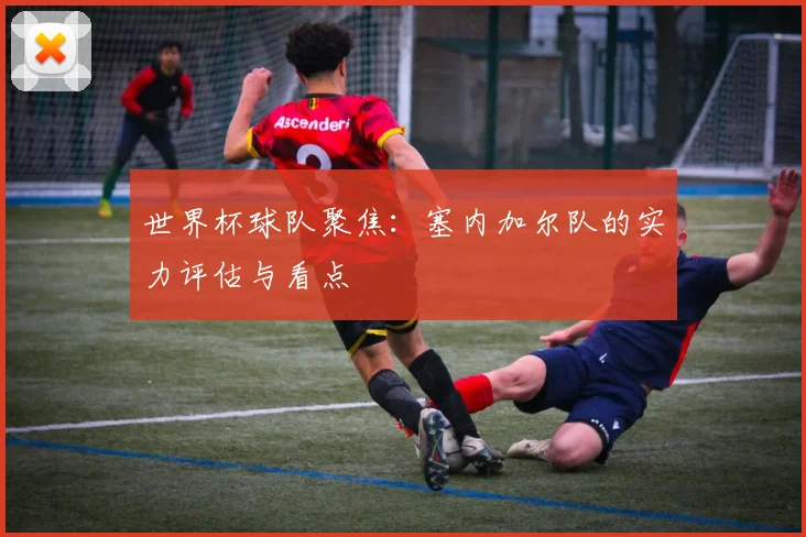 世界杯球队聚焦：塞内加尔队的实力评估与看点